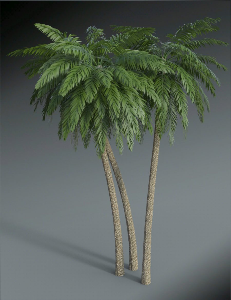Promo of Egyptian Fantasy Bath House palm trees