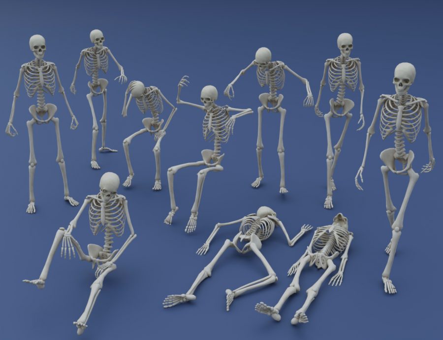 Promo of the poses for the LoREZ Skeleton, the low resolution 3D model for DAZ Studio