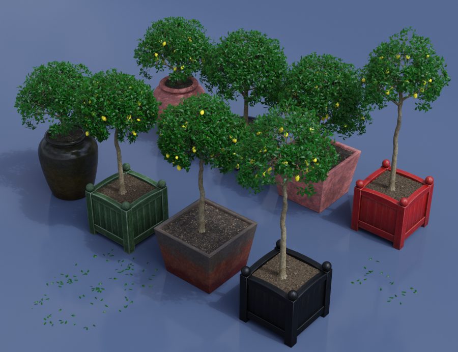 Promo of Ornamental Trees and Bushes with various pots and planter