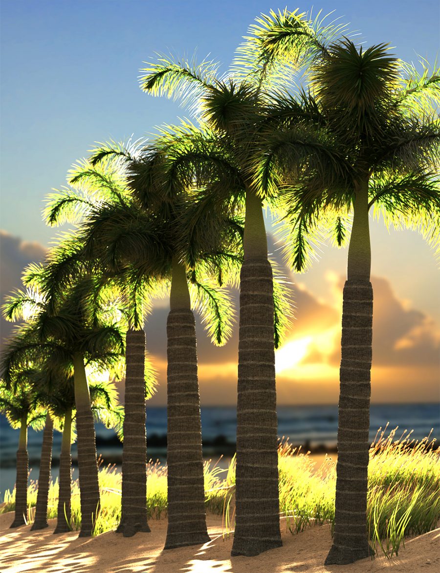 Promo of a collection of Foxtail Palm Trees