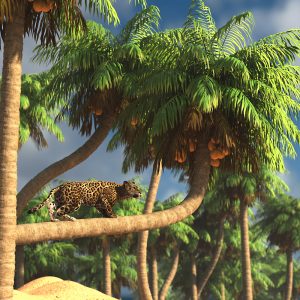 Promo of Coconut Palm Trees with leopard in tree