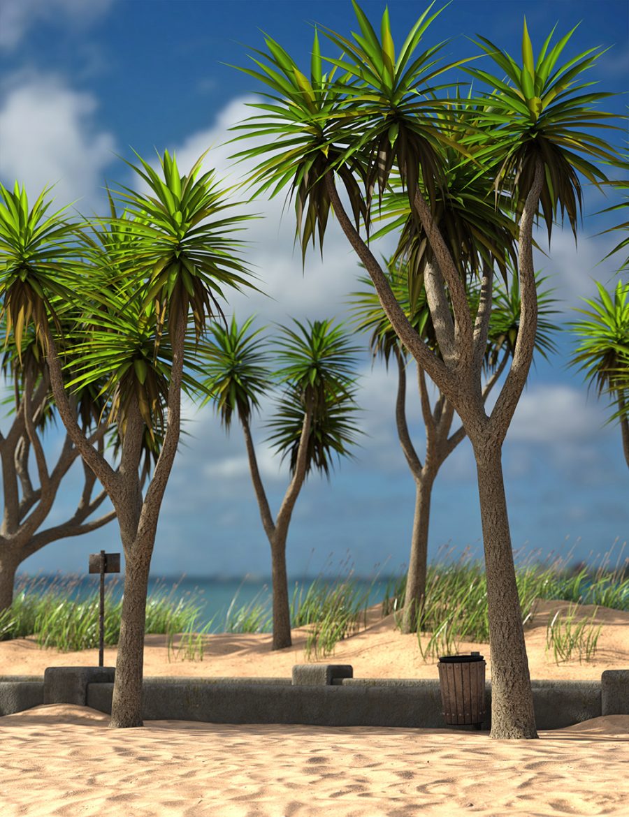 Promo on beach of Cabbage Palm Trees