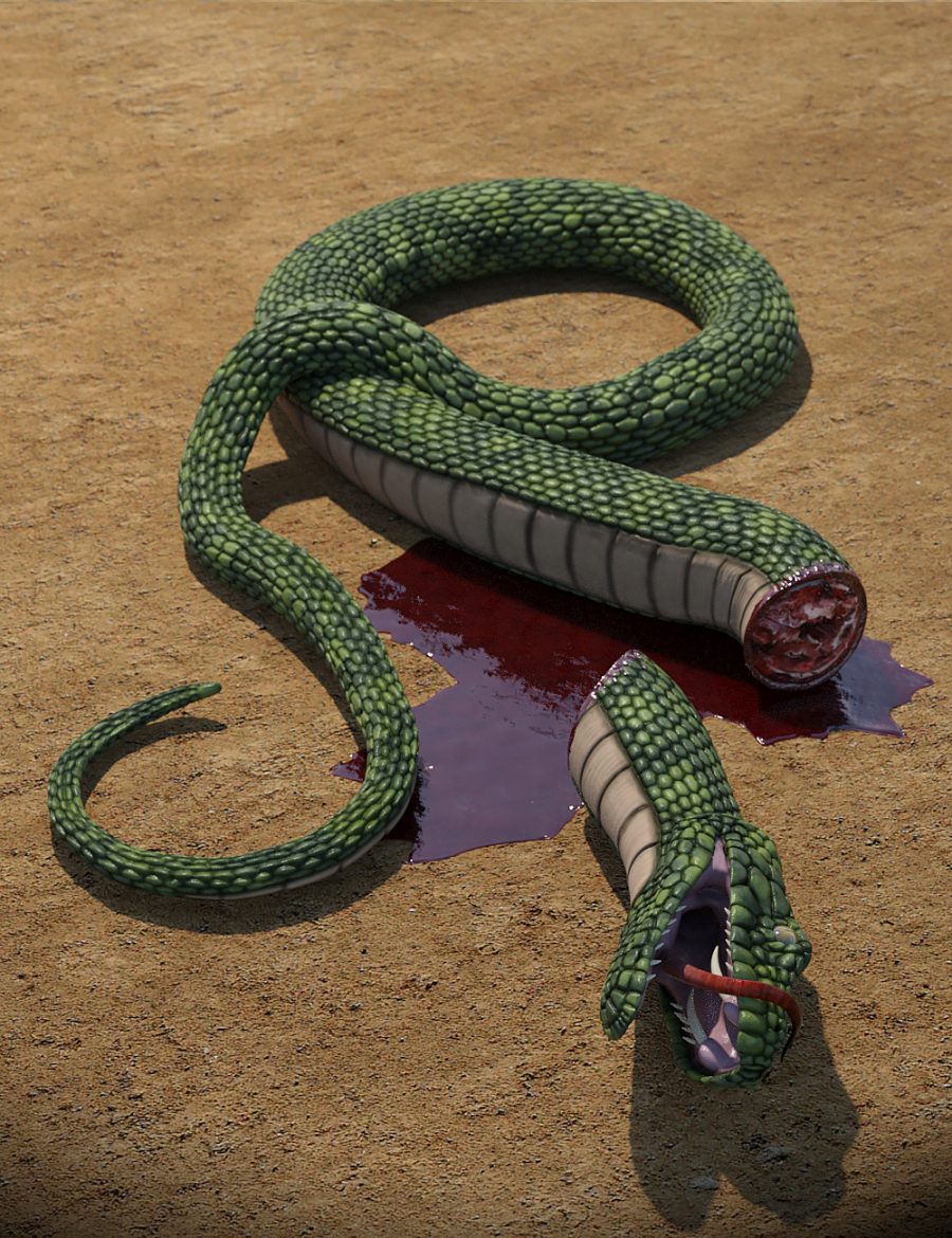Promo of chopped head for giant fantasy snake