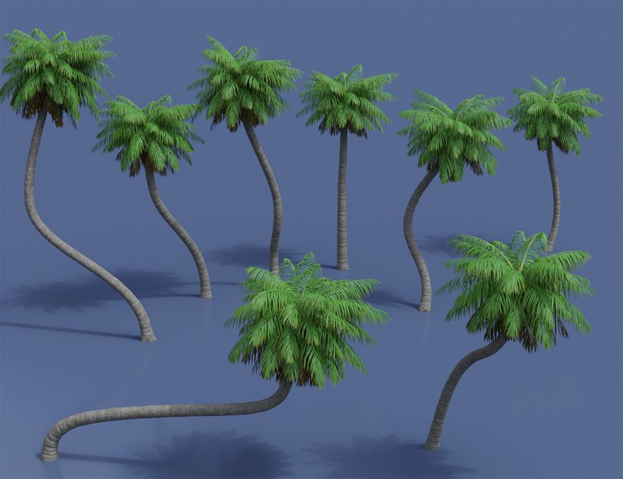 Textured promo of Coconut Palm Trees