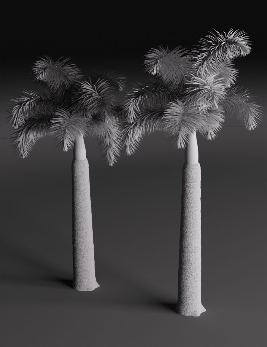 Clay render of Promo of a collection of Foxtail Palm Trees
