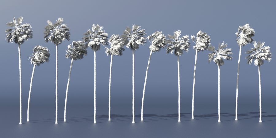 Clay rendered promo of Washingtonia Fan Palm Trees