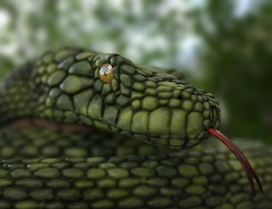 Closeup promo of the head of the giant fantasy snake
