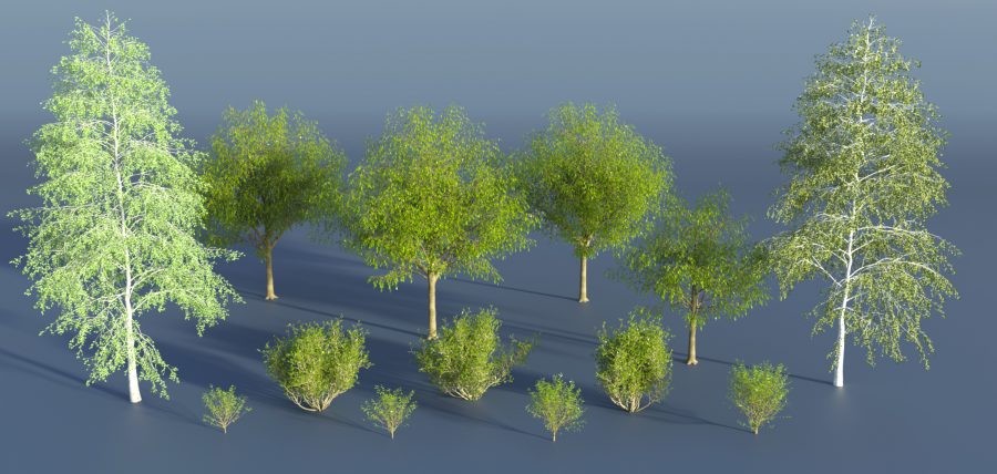 Promo of Simple Grasslands Expanse Trees and Bushes