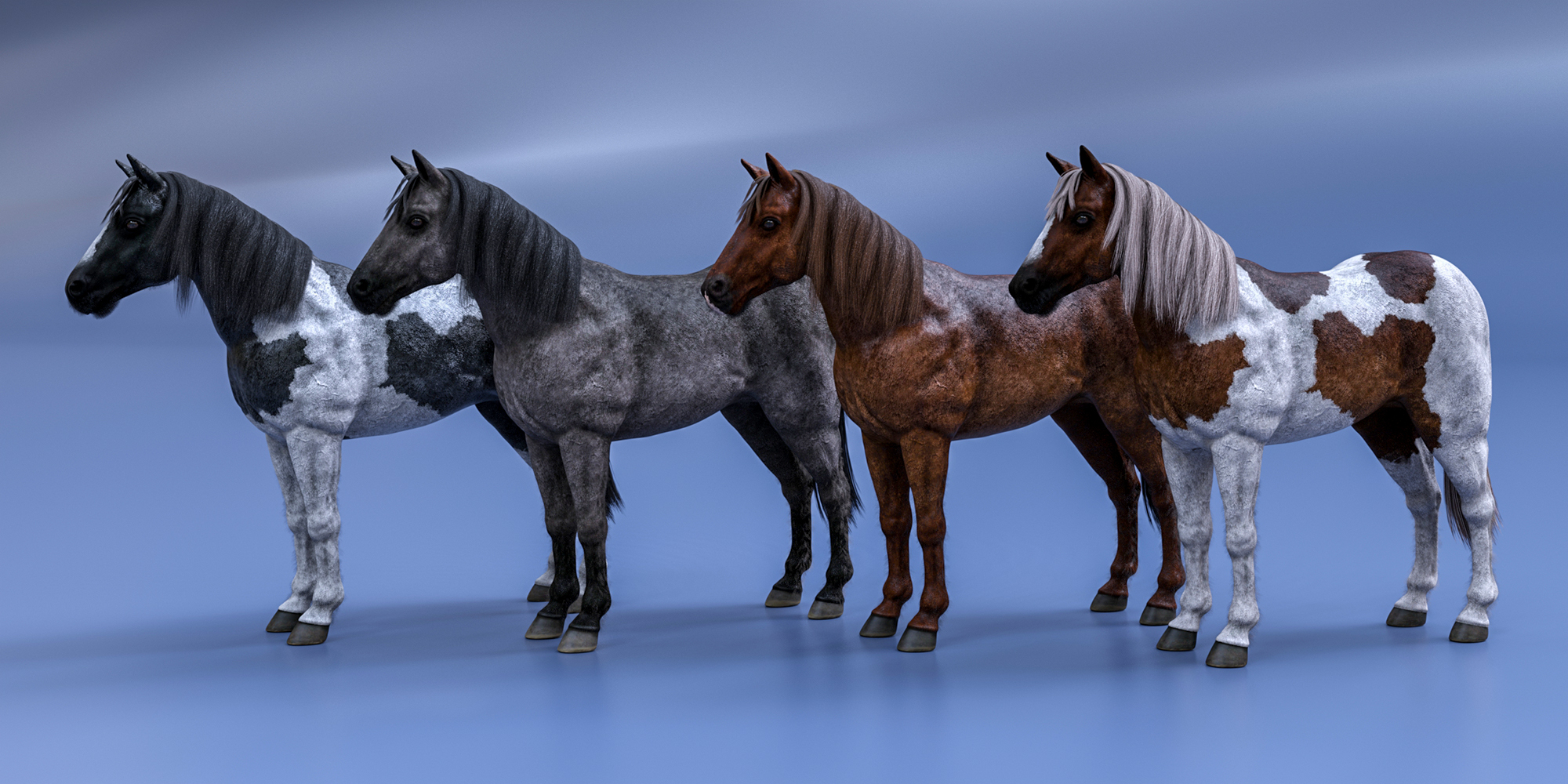 Pinto, grey and chestnut horses