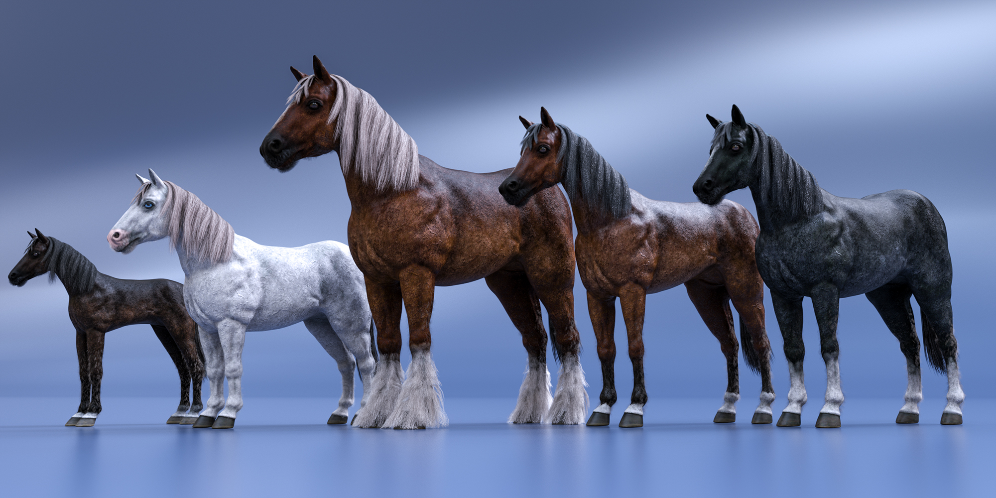 Breeds include foal, Shetland, Shire and Arabian horses