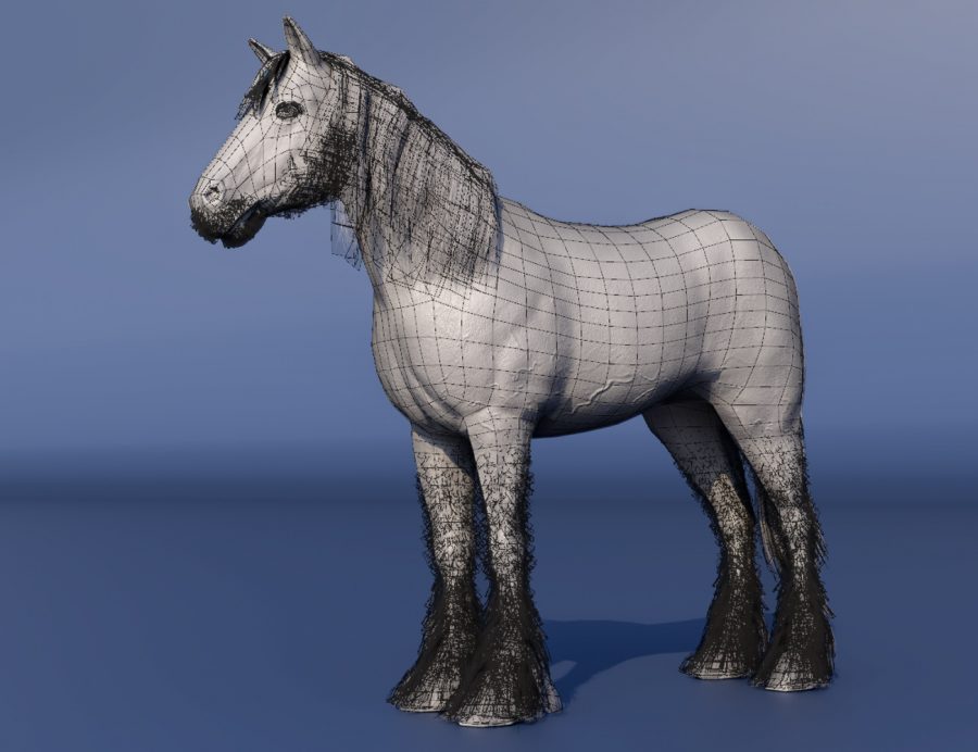 Showing the geometry for the LoREZ Horse 2