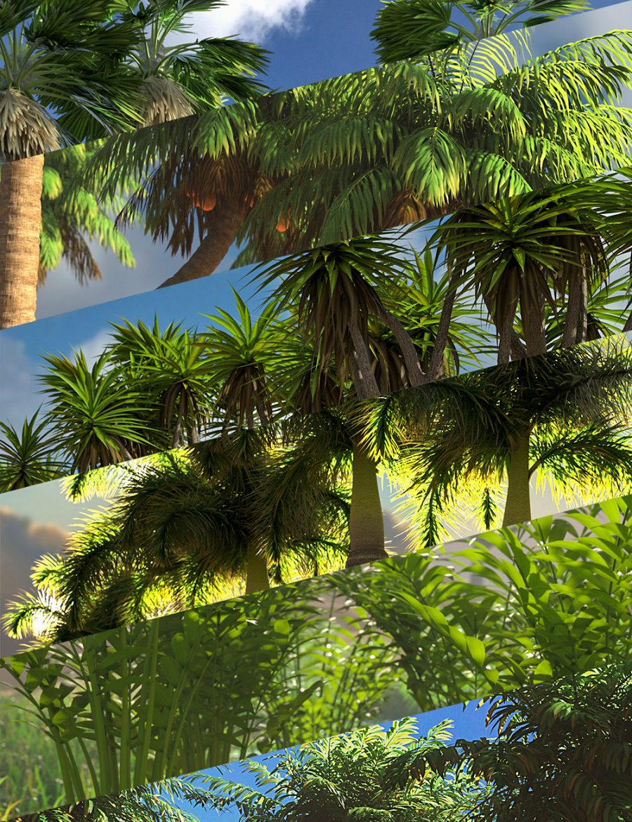 Palm Tree Bundle