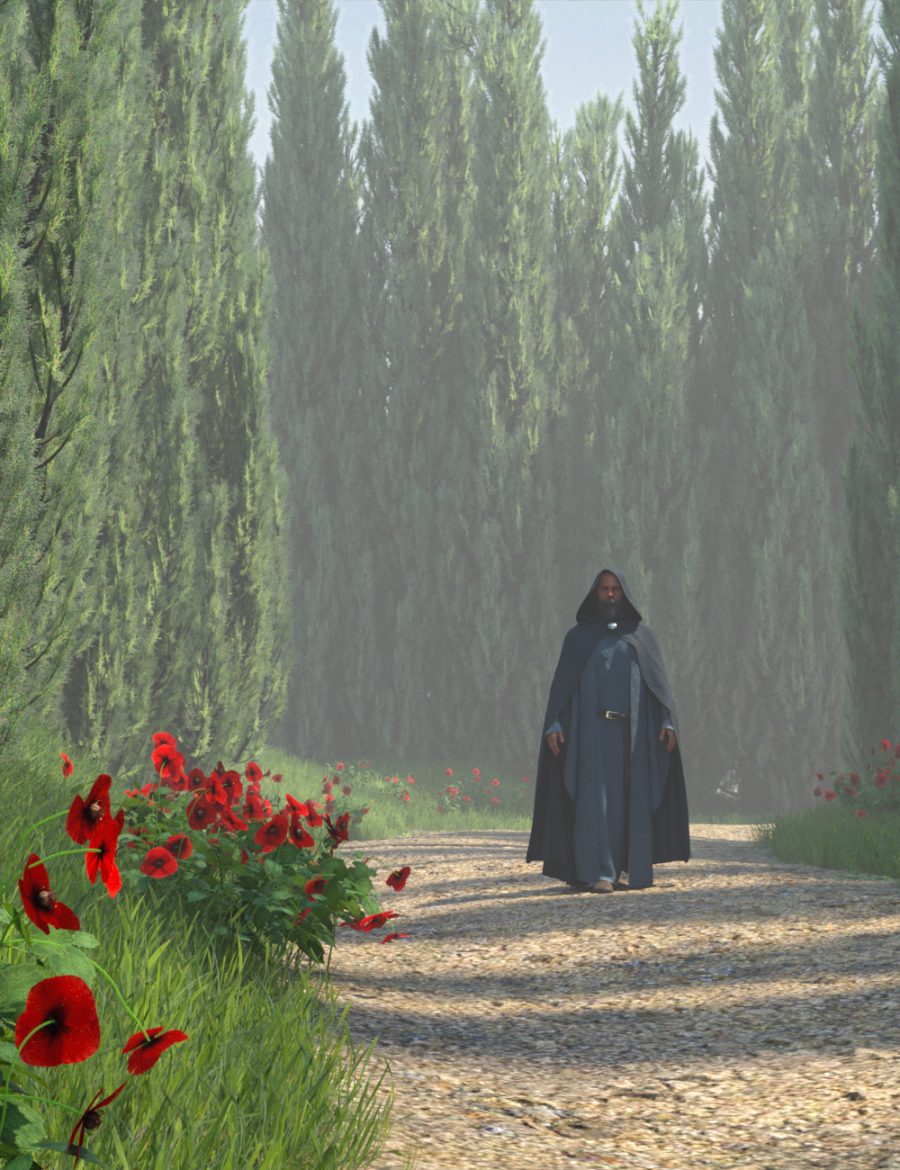 A wizard walking down Cypress Lane