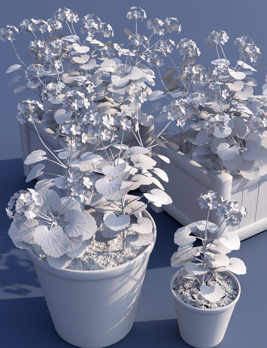 Clay render of Geranium Plants