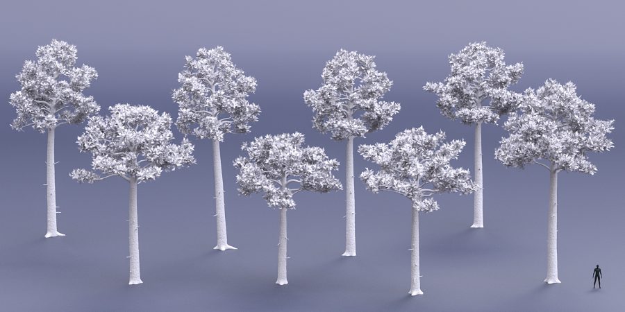 Clay render of Larch Trees