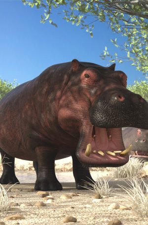 Closeup of the LoREZ Hippo