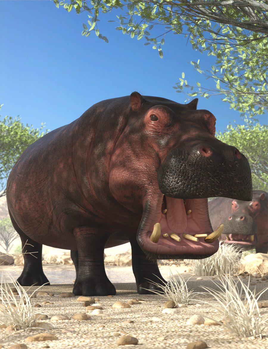 Closeup of the LoREZ Hippo