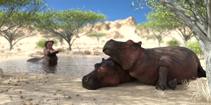 Hippos snoozing by a pool