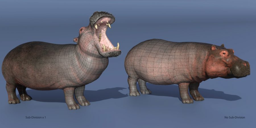 Showing the geometry of the hippo