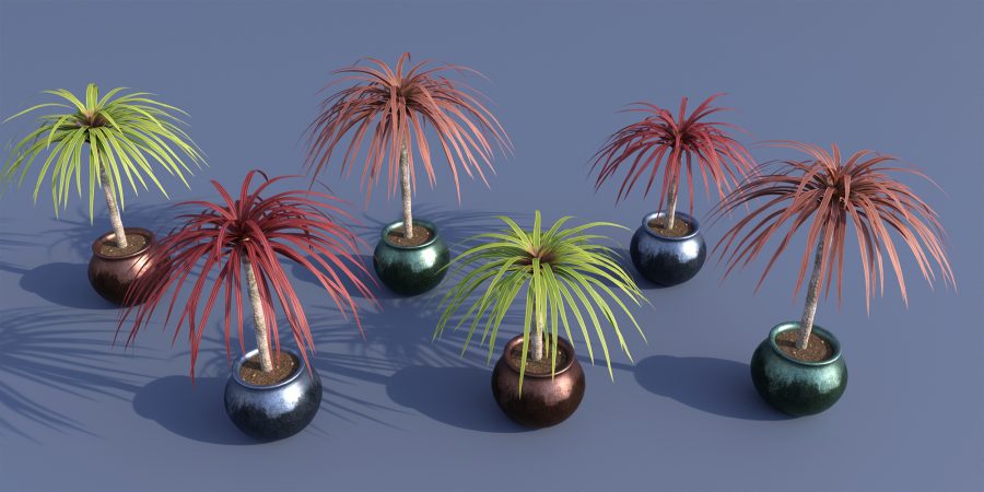 Static versions of the Cordyline Plant by Predatron