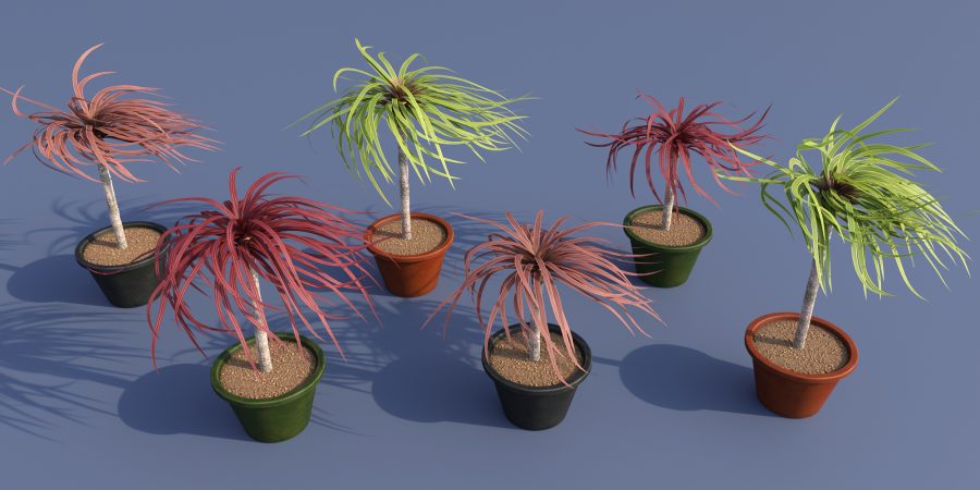 Windy versions of the Cordyline Plant by Predatron