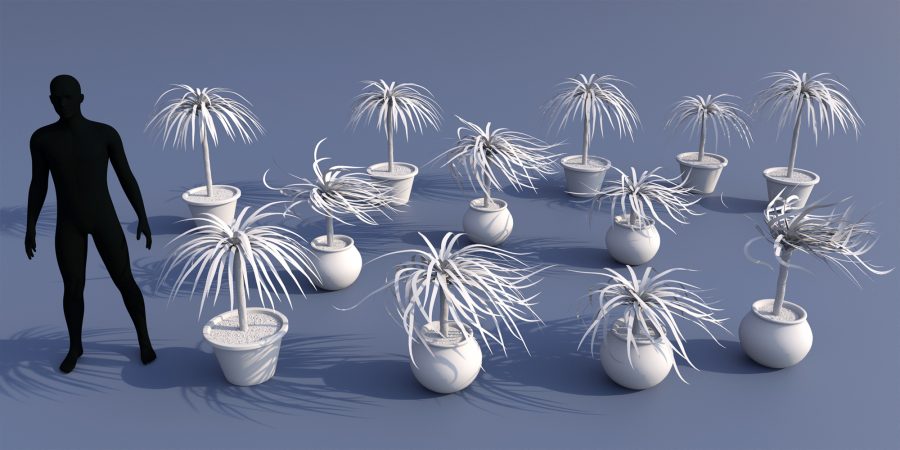 Clay render and scale of the Cordyline Plant by Predatron