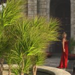 Main promo of the Dragon Tree Plant with woman in a red dress