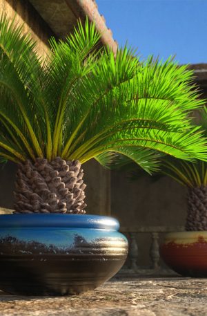 Main promo of dwarf palm trees in a Mediterranean setting