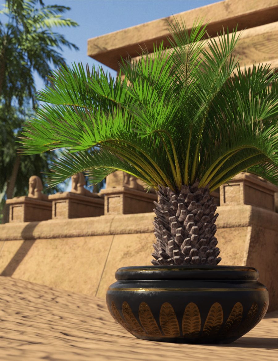 Closeup of the dwarf palm in its large plant pot located somewhere in ancient Egypt