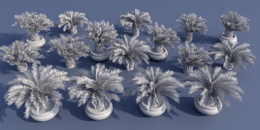 Clay render of the dwarf palm trees