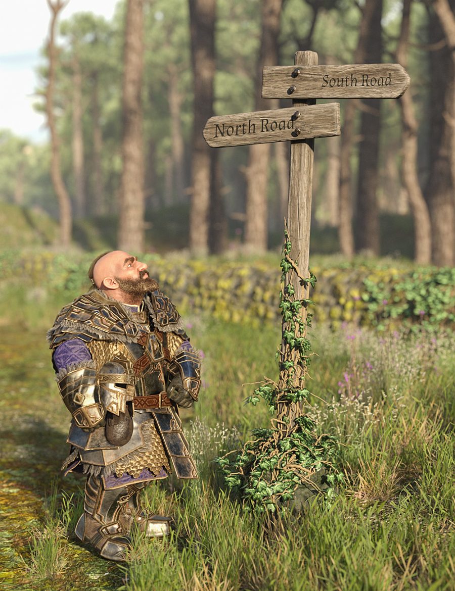 Dwarf soldier looking up at wooden sign post